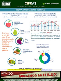 Bolivia: Importaciones de frutas
