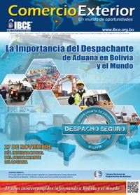 La Importancia del Despachante de Aduana en Bolivia y el Mundo