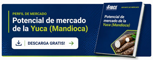 Potencial de mercado de la Yuca (Mandioca)