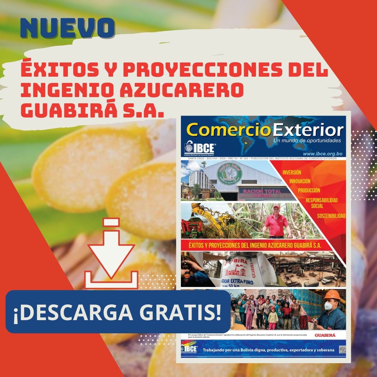 Descarga gratis la Edición Estrella 'Cifras del Comercio Exterior Boliviano 2019'