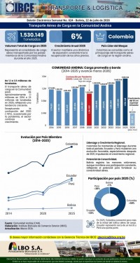 Transporte Aéreo de Carga en la Comunidad Andina